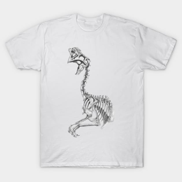 Oviraptor skeleton T-Shirt by TimeSkiff